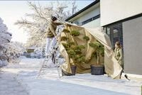 Windhager Vlieshaube Super-Protect XXXL 3,9 x 3,5 m, beige