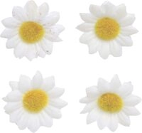 Glorex Streu Margerite wei&szlig; 18 St&uuml;ck