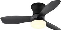 Globo Deckenventilator Irwin &Oslash; 61 cm 36 W schwarz matt CCT