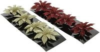 Kaemingk Weihnachtsblume Poinsettia &Oslash; 8 cm verschiedene Farben