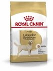 Royal Canin Hundefutter Labrador Retriever Adult 12 kg Royal Canin Hundefutter Labrador Retriever Adult 12 kg