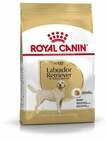 Royal Canin Hundetrockenfutter Adult Labrador Retriever 3 kg Gefl&uuml;gel