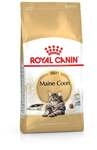 Royal Canin Katzenfutter Maine Coon Adult 4 kg
