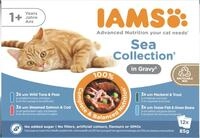 Iams Advanced Nutrition Katzennassfutter Adult 12 x 85 g Sea Collection in Sauce