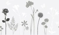 d-c-fix Folie Static Premium Blossom 45 cm x 1,5 m