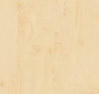 d-c-fix Selbstklebefolie Birke 90 cm x 2,1 m