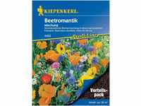 Pflanzen Kiepenkerl Blumenmischung Beetromantik Vorteilspack GLO693109101