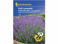 Kiepenkerl Lavendel Hidcote Blue Strain Lavandula angustifolia, Inhalt: ca. 40