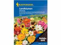Pflanzen Kiepenkerl Blumenmischung Landblumen Vorteilspack GLO693109174