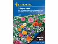 Pflanzen Kiepenkerl Blumenmischung Wildblumen Vorteilspack GLO693109114