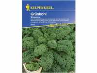 Kiepenkerl Grünkohl Winnetou Brassica oleracea var. sabellica, Inhalt: ca. 30
