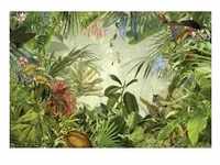 Komar Vlies Fototapete Into the Wild 368 x 248 cm