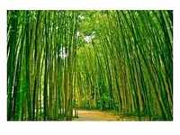 papermoon Vlies-Fototapete Digitaldruck 350 x 260 cm Bamboo Forest