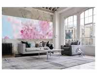 papermoon Vlies- Fototapete Digitaldruck 350 x 100 cm Cherry Blossom...