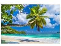 papermoon Vlies- Fototapete Digitaldruck 350 x 260 cm Seychelles Palm Beach