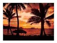 papermoon Vlies- Fototapete Digitaldruck 350 x 260 cm Palm Beach at Dusk