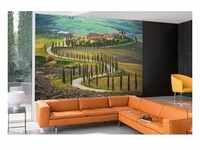 papermoon Vlies- Fototapete Digitaldruck 350 x 260 cm Fields in Tuscany
