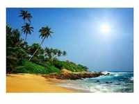 papermoon Vlies- Fototapete Digitaldruck 350 x 260 cm Sri Lanka Tropical Beach