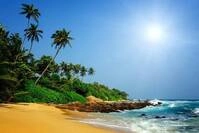 papermoon Vlies- Fototapete Digitaldruck 350 x 260 cm Sri Lanka Tropical Beach
