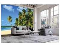 papermoon Vlies- Fototapete Digitaldruck 350 x 260 cm Exotic Palm Beach...