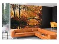 papermoon Vlies- Fototapete Digitaldruck 350 x 260 cm Misty Park Bridge...