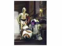 Komar Fototapete Star Wars Three Droids 254 x 184 cm
