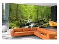 papermoon Vlies- Fototapete Digitaldruck 350 x 260 cm Soft Water Stream