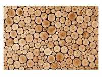 papermoon Vlies- Fototapete Digitaldruck 350 x 260 cm Round Teak Wood
