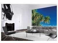 papermoon Vlies- Fototapete Digitaldruck 350 x 260 cm Tropical Palms