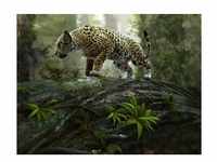 papermoon Vlies- Fototapete Digitaldruck 350 x 260 cm Jaguar on the Prowl