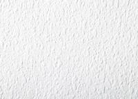 Rasch Vliestapete 127607 Feel Good wei&szlig; &uuml;berstreichbar 10,05 x 0,53 m