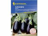 Kiepenkerl Aubergine Falcon Solanum melongena, Inhalt: 8 Korn GLO693107732