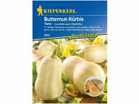 Kiepenkerl Butternut-Kürbis Tiana Cucurbita moschata, Inhalt: ca. 6 Pflanzen