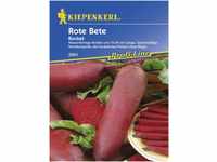 Kiepenkerl Rote Bete Rocket Beta vulgaris subsp. vulgaris, Inhalt: ca. 100...
