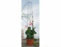 Bellissa Ranks&auml;ule Aktion 130cm 130 cm hoch
