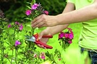 Wolf Garten Gartenschere RR 1500 BASIC PLUS bis zu &Oslash; 18 mm Astst&auml;rke
