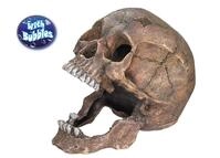 Nobby Aqua Ornaments TOTENKOPF 13,5 x 20 x 16,5 cm