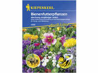 Kiepenkerl Bienenfutterpflanzen Inhalt: 10 m² GLO693105548