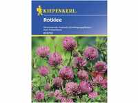 Kiepenkerl Rotklee Trifolium pratense, Inhalt: 50 g GLO693107508