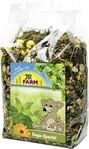 JR Farm Nagerfutter Degu Spezial 500 g