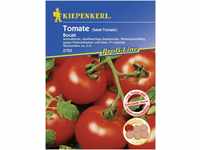 Kiepenkerl Tomate Bocati Solanum lycopersicum, Inhalt: 7 Korn GLO693107744