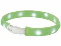 Nobby LED Leuchthalsband Visible breit grün GLO689300603