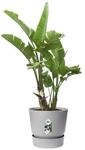 Elho Pflanztopf Greenville &Oslash; 47 x 44 cm living beton