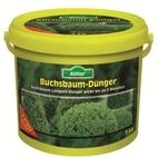Allflor Gartend&uuml;nger Buchsbaum 3 kg