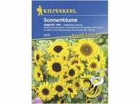 Kiepenkerl Sonnenblume Majestic Mix Inhalt reicht für ca. 40 Pflanzen...