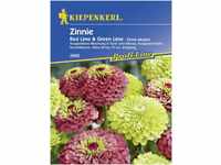 Kiepenkerl Zinnie Red Lime + Green Lime Zinnia angustifolia, Inhalt: ca. 20...