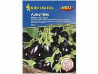 Kiepenkerl Aubergine Kaberi (TSX 250) Solanum melongena, Inhalt: 5 Korn...