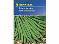 Kiepenkerl Buschbohne Duplika Phaseolus vulgaris var. nanus, Inhalt: ca. 5 lfd....