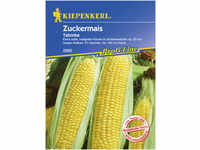 Kiepenkerl Zuckermais Tatonka Zea mays ssp. saccharata, Inhalt: 20 Korn...