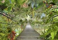 Komar Fototapete Wild Bridge 368 x 254 cm
